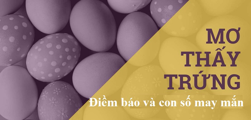 mo-thay-trung-ga-danh-con-gi-diem-bao-gi Nằm mơ thấy trứng gà đánh con gì may mắn? Điềm báo ra sao?