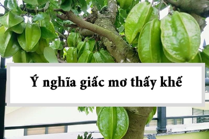 mo-thay-cay-khe-la-diem-bao-gi Ý nghĩa giấc mơ thấy cây khế là gì?