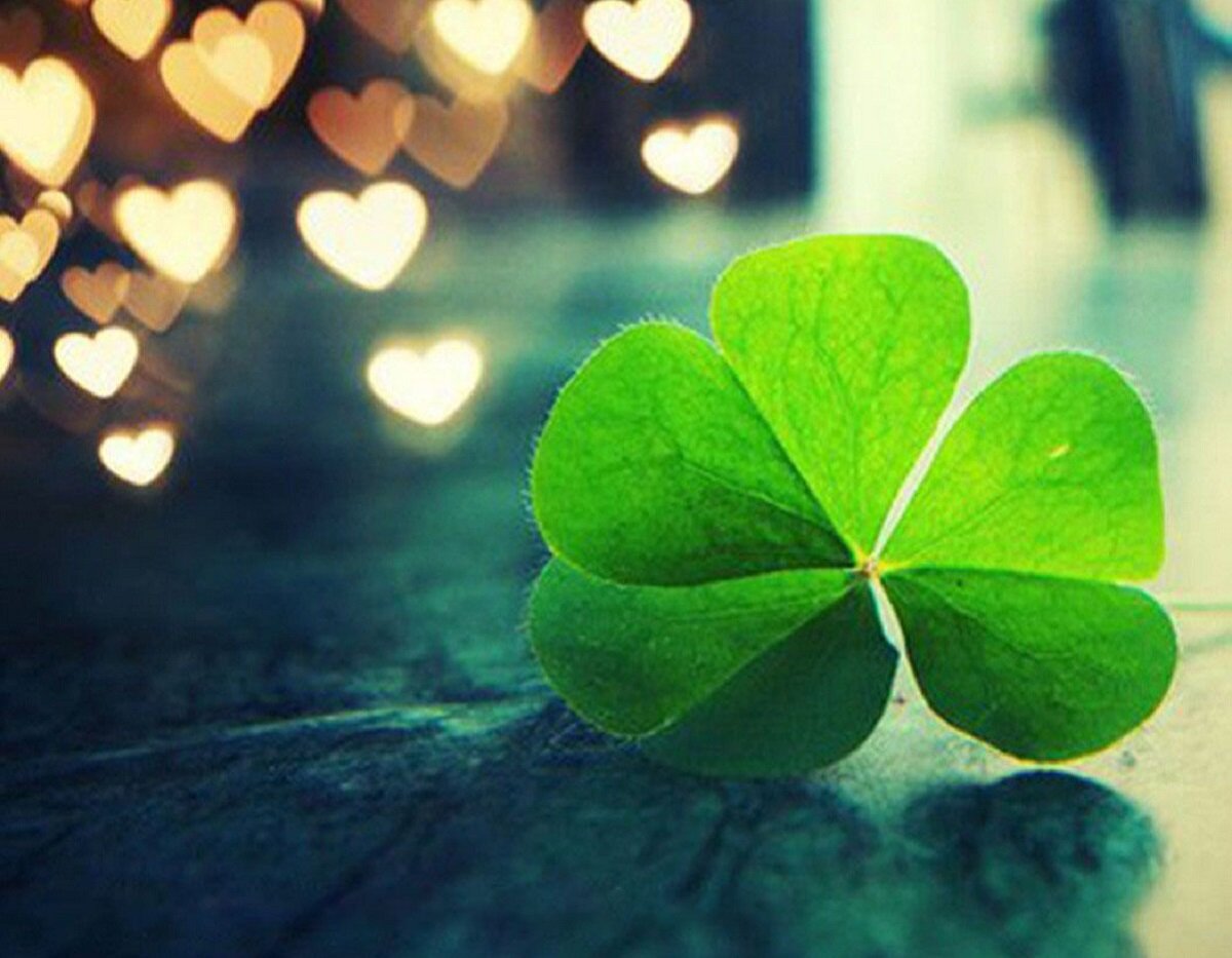 top-con-giap-may-man-tuan-nay top con giáp gặp hên tuần này