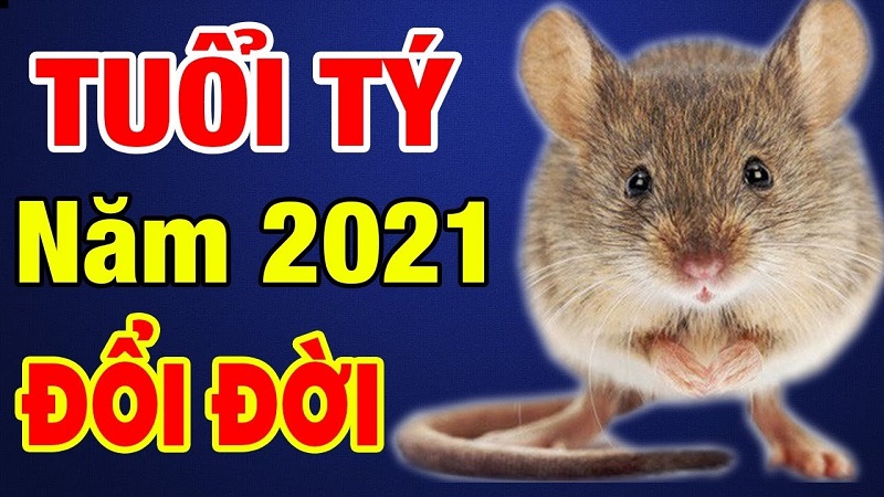 Tử vi tuổi Tý năm 2021: Đón nhiều điều cát lành, tài lộc 1 Tử vi tuổi Tý năm 2021 - Năm 2001 tuổi Tý gặp nhiều may mắn đổi đời