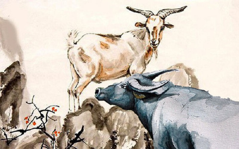 Cặp đôi con giáp tương xung tương khắc trong hôn nhân 2 Mùi - Sửu là cặp đôi con giáp tương xung