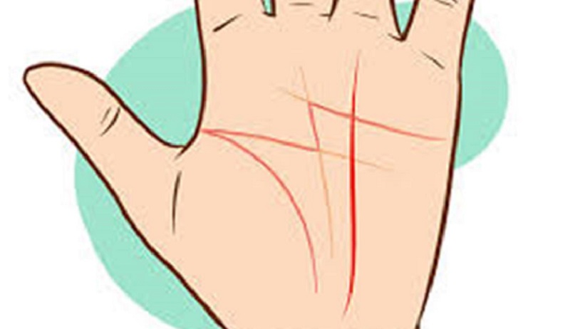 Chỉ tay chữ M ở nam và nữ giới, bàn tay chữ M ý nghĩa gì? 2 chỉ tay chữ M là như thế nào