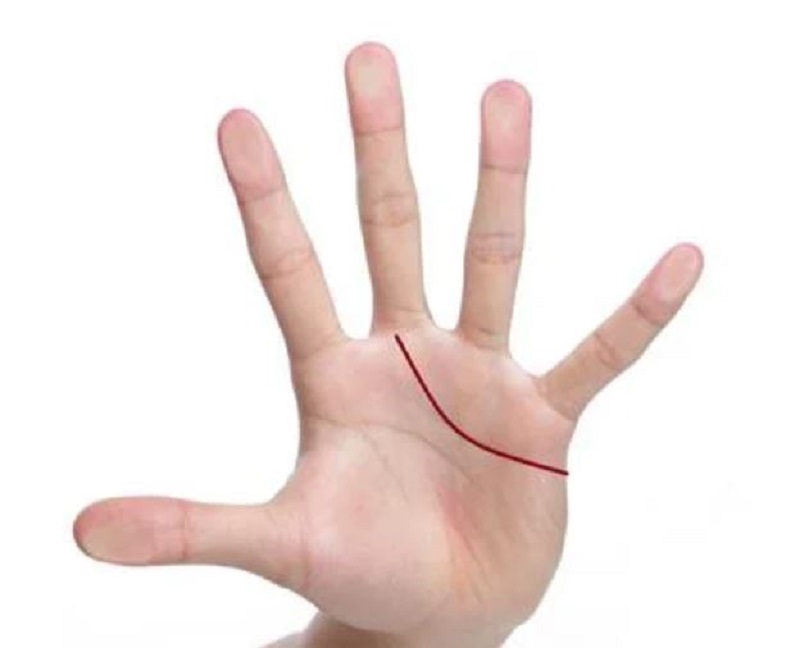 Xem Chỉ Tay Đường Tình Duyên: 5 Hướng Chỉ Tay Cơ Bản Bạn Nên Biết 1 Điểm kết thúc chỉ tay đường tình duyên ở dưới ngón giữa