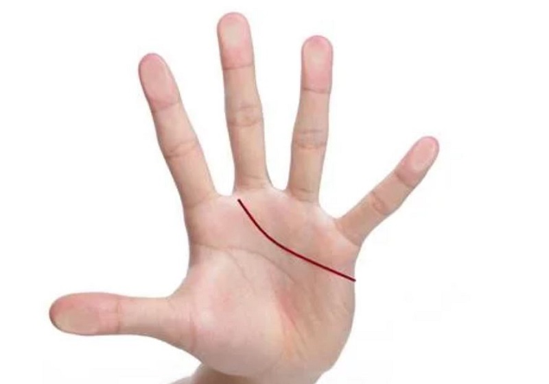 Xem Chỉ Tay Đường Tình Duyên: 5 Hướng Chỉ Tay Cơ Bản Bạn Nên Biết 2 Điểm kết thúc chỉ tay đường tình duyên ở giữa ngón trỏ và ngón giữa