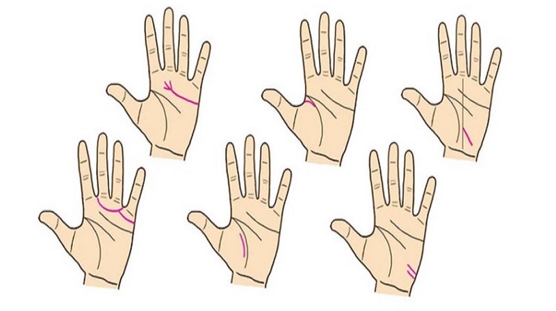 Xác Định Các Đường Chỉ Tay May Mắn Và Hiểu Ý Nghĩa Các Đường Này Xác Định Các Đường Chỉ Tay May Mắn Và Hiểu Ý Nghĩa Các Đường Này