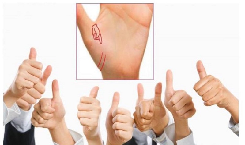 Xác Định Các Đường Chỉ Tay May Mắn Và Hiểu Ý Nghĩa Các Đường Này 1 Đường chỉ tay may mắn về Gia đạo