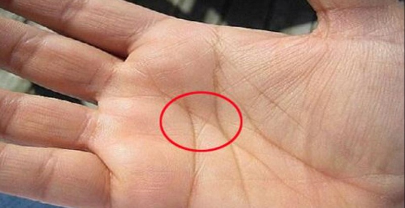 Xác Định Các Đường Chỉ Tay May Mắn Và Hiểu Ý Nghĩa Các Đường Này 2 Đường chỉ tay may mắn về Danh vọng