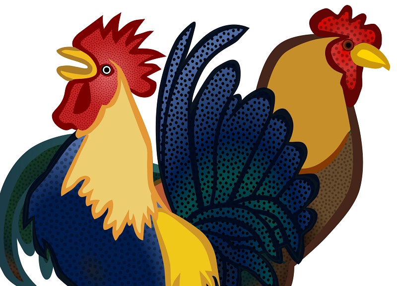 Những Con Giáp Nên Cẩn Trọng Trong Tuần Mới (12/04/2021 tới 18/04/2021) Để Tránh Rước Họa Vào Thân 2 con gà gặp xui tuần này 12/04 tới 18/04