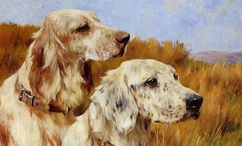 5 điềm lành báo hiệu gia chủ có tài lộc vô biên, sự nghiệp vượng phát 1 Thấy 5 điềm lành này xuất hiện trong nhà gia chủ làm ăn vượng phát tài lộc vô biên - chó lạ vào nhà