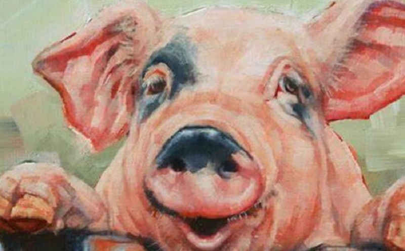 Top Con Giáp May Mắn Nhất Tháng: 5 Con Giáp Này Tháng Tới Chỉ Chờ Đếm Tiền 5 Top Con Giáp May Mắn Nhất Tháng tuổi hợi