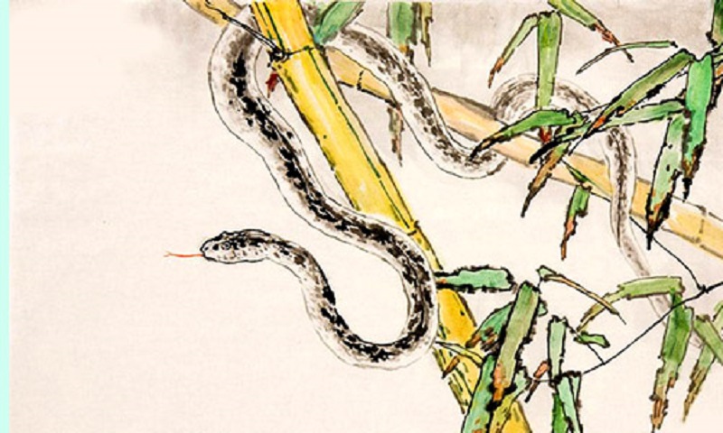 Top Con Giáp Phát Tài 2021: Tý - Dần - Tỵ - Dậu Tiền Vô Chật Nhà 3 top con giáp phát tài 2021 tuổi tỵ