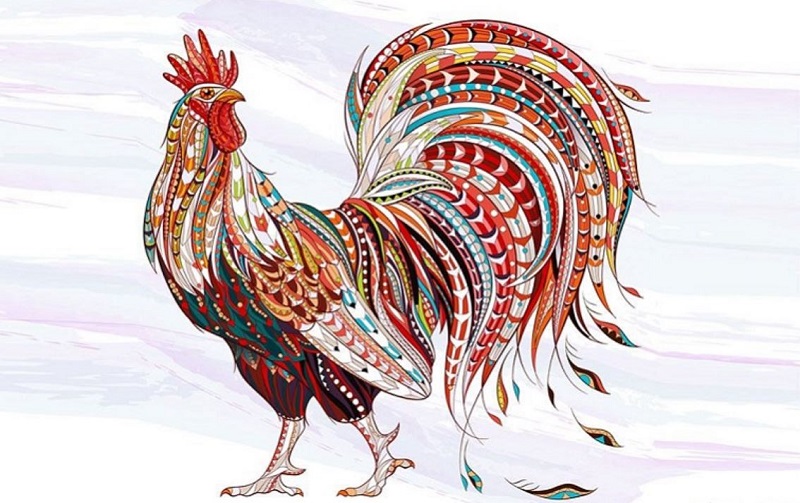 Top Con Giáp Thông Minh Nhất Được Xếp Hạng Từ 1 Đến 12 3 Top con giáp thông minh - tuổi dậu