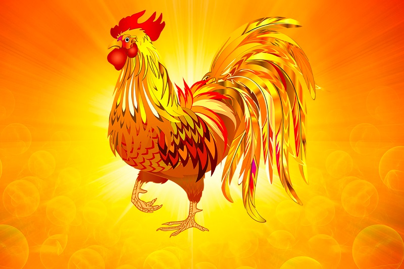 Tử vi 12 con giáp năm 2021