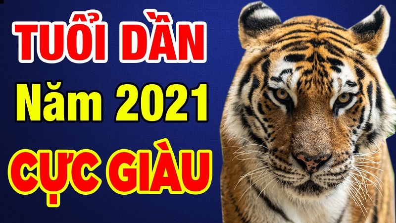Tử vi tuổi Dần 2021 - Gặp nhiều may mắn, có quý nhân phù trợ 3 Tử vi tuổi Dần 2021 - Tùy từng tuổi Dần mà tử vi năm 2021 cũng sẽ khác nhau