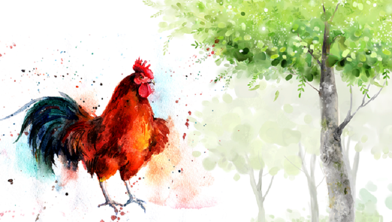 Tử Vi Tuổi Dậu Năm 2021: Quan Vận Hanh Thông - Sự Nghiệp Thăng Hoa 4 Tử vi tuổi Dậu năm 2021 về Gia đạo - Tình duyên