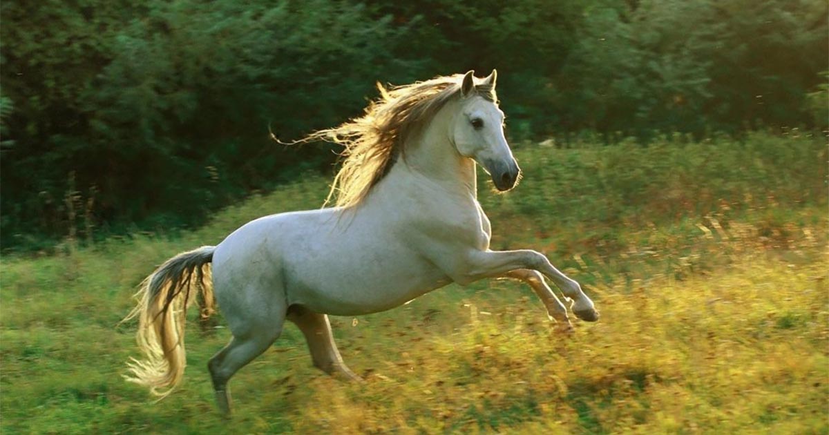 12 Con Giáp Với Ngày Sinh Dương Lịch Này Phú Quý Cả Đời