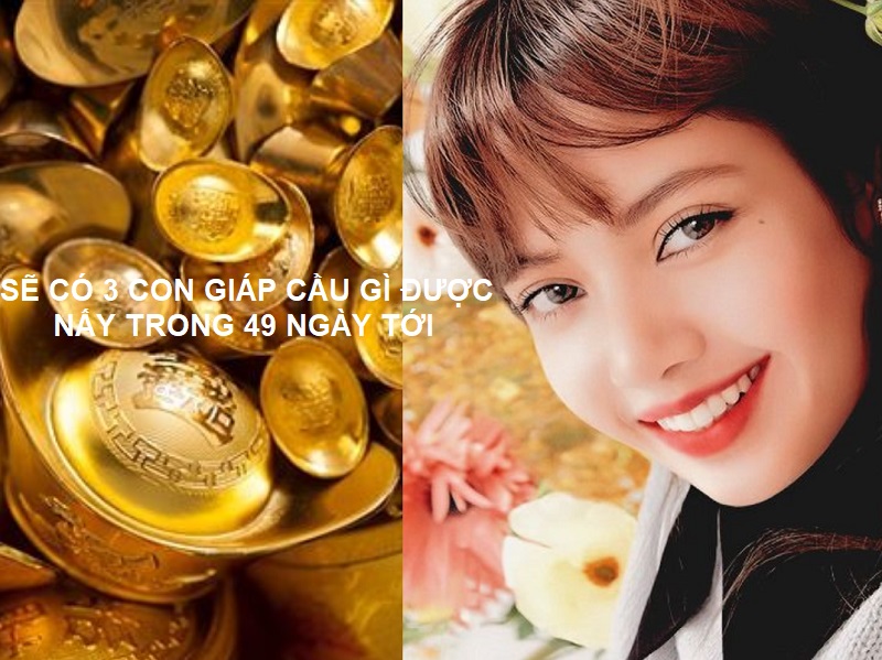 3 Con giáp cầu gì đều được nấy trong 49 ngày tới 1 3 Con giáp cầu gì đều được nấy trong 49 ngày tới là con giáp nào?