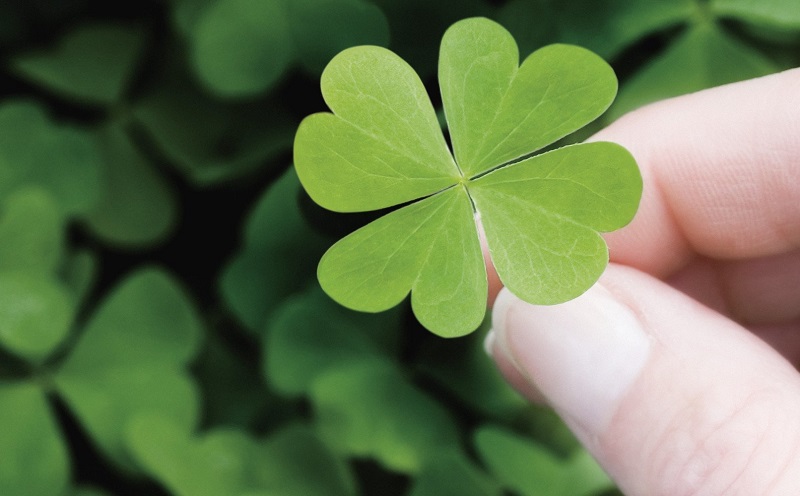 30-ngay-nua-nhung-con-giap-lien-tuc-gap-may-man-tien-tieu-hoai-khong-het 30 ngày nữa những con giáp liên tục gặp may mắn, đại cát đại lợi, vận đỏ như son