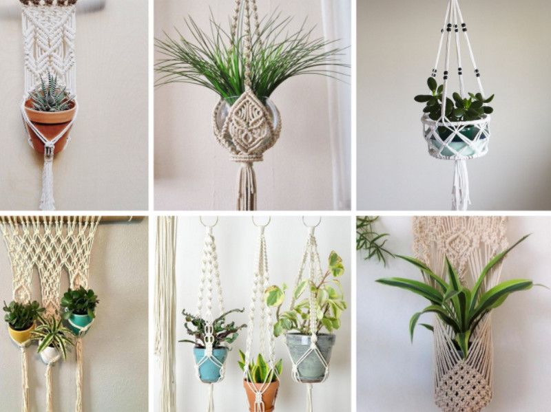 Mẹo bày trí cây cảnh hợp phong thủy cửa hàng giúp buôn may bán đắt 1 Bày trí cây cảnh hợp phong thủy - Chọn cây phong thủy giúp cửa hàng buôn may bán đắt