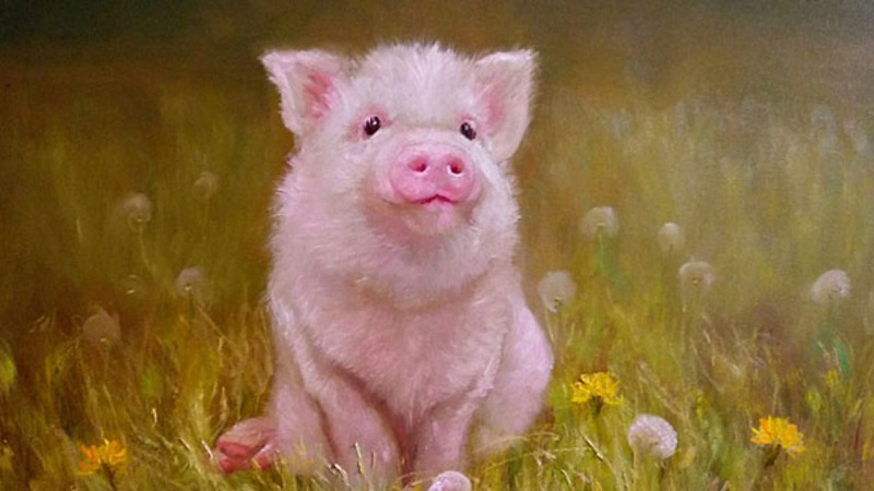 5 cái tên sở hữu vận mệnh giàu sang nhất 12 con giáp 1 tuổi Hợi thuộc 5 cái tên sở hữu vận mệnh giàu sang nhất