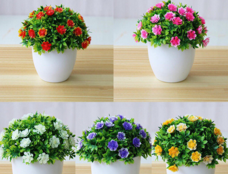 Cây phong thủy để bàn rước tài lộc cho mệnh Kim, Mộc, Thổ, Hỏa và Thủy 2 Cây phong thủy để bàn người mệnh Thủy cần tránh nâu, vàng, đỏ