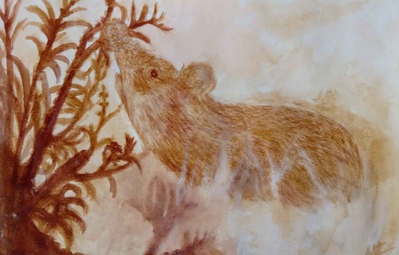 Điểm danh 4 con giáp có số phát tài phát lộc khi tới tuổi trung niên 1 Điểm danh 4 con giáp có số phát tài phát lộc khi tới tuổi trung niên tuổi tý