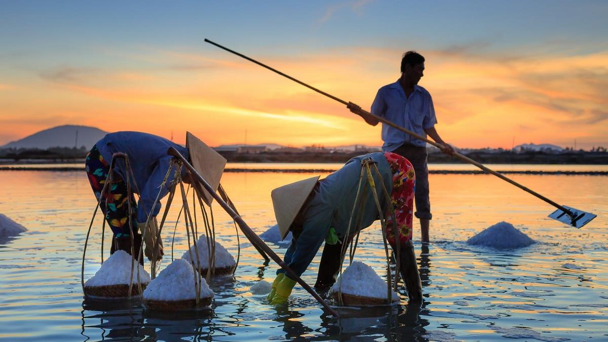 Mệnh thủy làm nghề gì? Người mệnh thủy hợp nghề gì nhất? 2 Người mệnh Thủy làm nghề gì hợp nhất?
