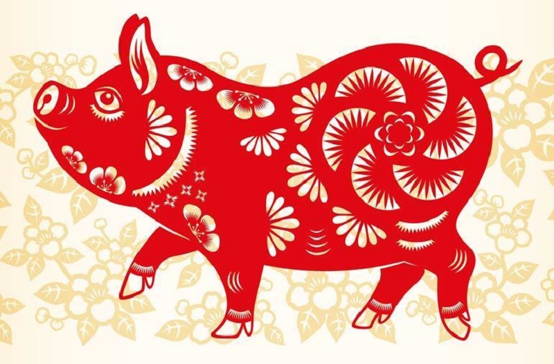 Top Con Giáp Có Phúc Đức Ông Bà Phù Hộ Lúc Nào Cũng Gặp Nhiều May Mắn 2 tuổi Hợi may mắn nhờ phúc đức ông bà