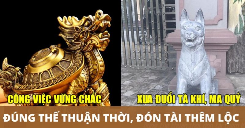 vat-pham-phong-thuy-cho-nguoi-menh-moc Vật phẩm phong thủy cho người mệnh mộc phát tài phát lộc