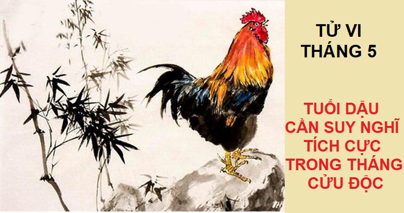 12 Con giáp nên làm gì trong tháng Cửu Độc để tránh được tai ương? 6 12 con giáp nên làm gì trong tháng Cửu Độc với tuổi Dậu?