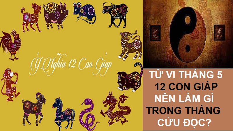 12 Con giáp nên làm gì trong tháng Cửu Độc để tránh được tai ương? 1 12 con giáp nên làm gì trong tháng Cửu Độc để bình an?