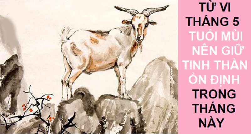 12 Con giáp nên làm gì trong tháng Cửu Độc để tránh được tai ương? 5 12 con giáp nên làm gì trong tháng Cửu Độc với tuổi Mùi?