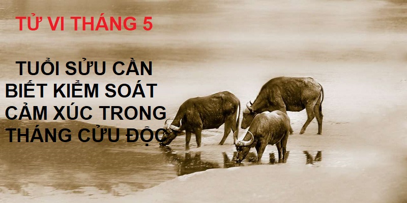 12 Con giáp nên làm gì trong tháng Cửu Độc để tránh được tai ương? 2 12 con giáp nên làm gì trong tháng Cửu Độc với tuổi Sửu?