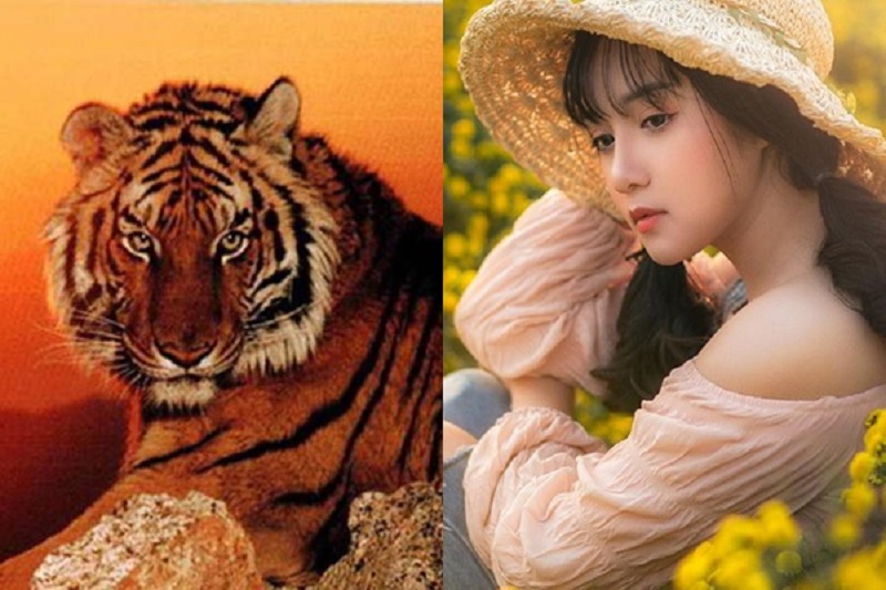 Trong 49 ngày tới, có 3 con giáp may mắn phát tài phát lộc, sự nghiệp lên như “diều gặp gió”, tiền tài đầy nhà 2 Trong 49 ngày tới, có 3 con giáp may mắn phát tài phát lộc, sự nghiệp lên như “diều gặp gió”, tiền tài đầy nhà