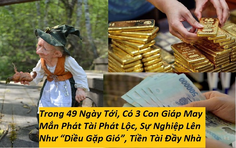 3-con-giap-may-man-phat-tai-phat-loc-su-nghiep-thuan-loi Trong 49 ngày tới, có 3 con giáp may mắn phát tài phát lộc, sự nghiệp lên như “diều gặp gió”, tiền tài đầy nhà