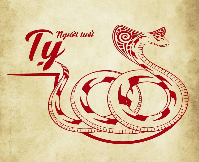 Các nàng giáp vượng duyên, nườm nượp kẻ đưa người đón dù đầy khuyết điểm 4 Các nàng vượng duyên tuổi Tỵ là hình mẫu của các quý ông