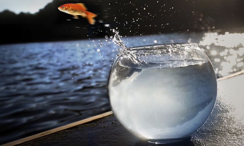 Điểm danh 4 con giáp cần vượt chướng ngại vật trong sự nghiệp vào năm 2021 3 Điểm danh 4 con giáp cần vượt chướng ngại vật trong sự nghiệp vào năm 2021