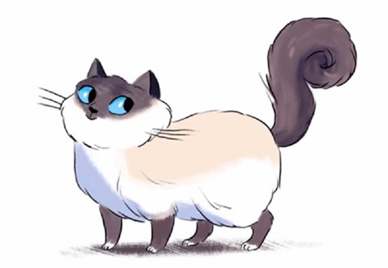 TOP 4 con giáp càng dịu dàng càng giàu có, hạnh phúc cả đời 1 TOP 4 con giáp càng dịu dàng càng giàu có, hạnh phúc cả đời