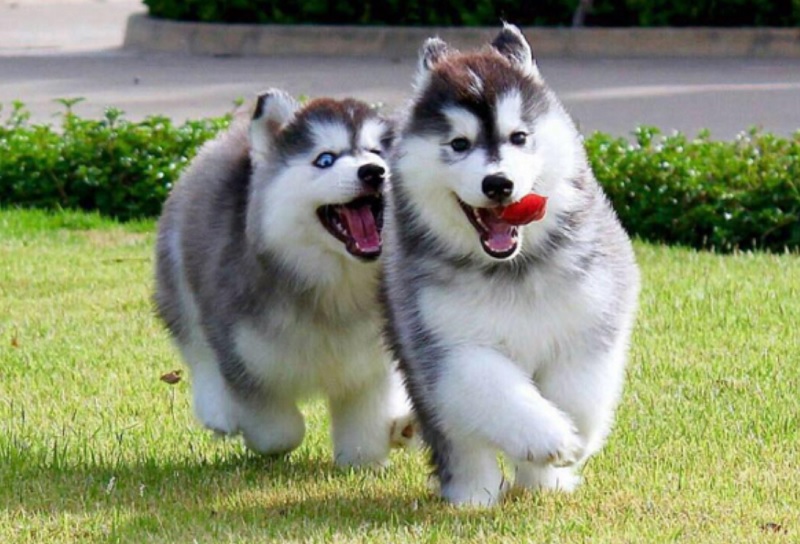 3 Con giáp may mắn nhất tuần đầu tiên tháng 7: tài lộc lên hương, viên mãn 3 Con giáp may mắn nhất tuần đầu tiên tháng 7 - tuổi tuất