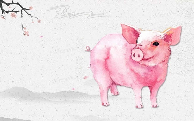 Con giáp vượng phúc khí nhờ nhân phẩm tốt, lối sống đáng ngưỡng mộ 3 Con giáp vượng phúc khí nhờ nhân phẩm tốt là tuổi Hợi