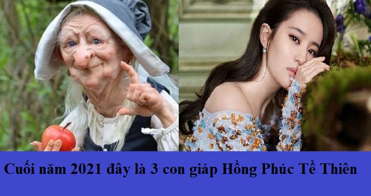 cuoi-nam-2021-day-la-3-con-giap-hong-phuc-te-thien-gap-nhieu-thuan-loi-may-man Cuối năm 2021 đây là 3 con giáp Hồng Phúc Tề Thiên, làm gì cũng gặp nhiều thuận lợi, tiền bạc rủng rỉnh