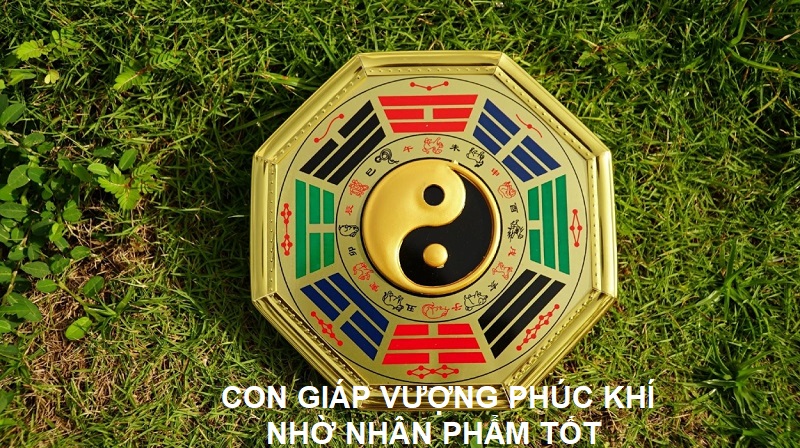 Con giáp vượng phúc khí nhờ nhân phẩm tốt, lối sống đáng ngưỡng mộ 1 Con giáp vượng phúc khí nhờ nhân phẩm tốt là con giáp nào?