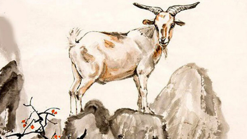 Tháng 6 và 7 tới 4 con giáp gặp thời đổi vận -