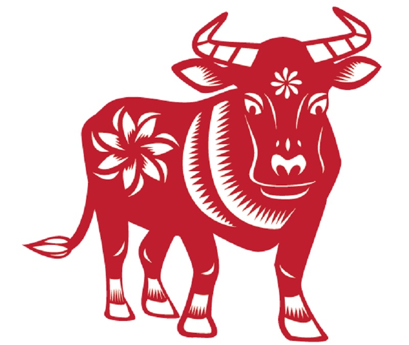 Con Giáp Tiền Xài Không Hết May Mắn Thịnh Vượng Tuần Này (07/06/2021 Đến 13/06/2021) 3 tuổi Sửu gặp hên tuần này 07/06 đến 13/06