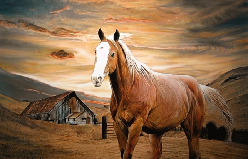 Tử vi ngày 18/6/2021 của 12 con giáp: Tuổi Ngọ gặt hái được thành công 4 Tử vi ngày 18/6/2021 của 12 con giáp: Tuổi Ngọ gặt hái được thành công