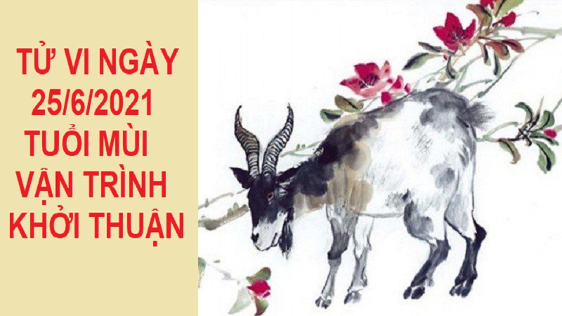 Xem tử vi ngày 5/8/2021 12 con giáp: Ngày tỏa sáng rực rỡ của tuổi Thân 5 Tử vi ngày 25/6/2021 tuổi Mùi