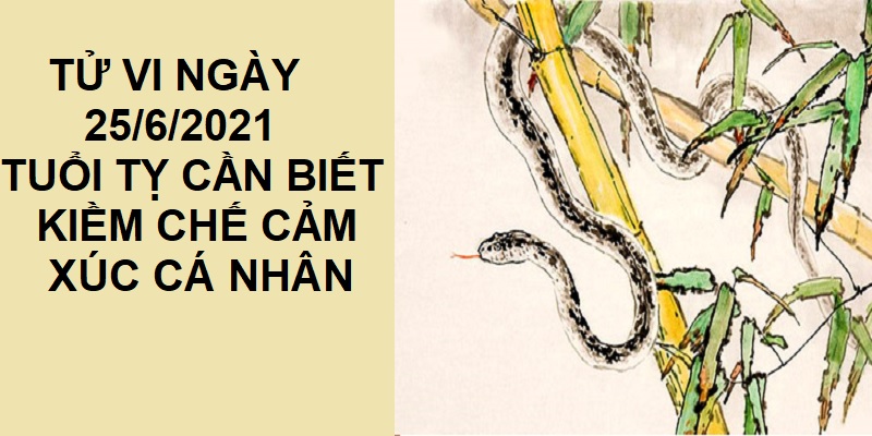 Xem tử vi ngày 5/8/2021 12 con giáp: Ngày tỏa sáng rực rỡ của tuổi Thân 4 Tử vi ngày 25/6/2021 tuổi Tỵ