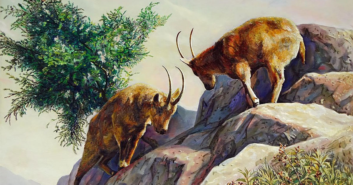 Top 3 Con Giáp Hiền Lành Nhân Hậu Được Thần Phật Che Chở, Càng Về Hậu Vận Càng Được Sung Sướng