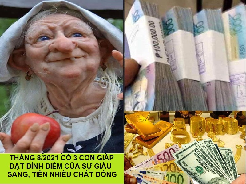 Tháng 8/2021, 3 con giáp đạt đỉnh điểm của sự giàu sang, tiền nhiều chất đống 1 Tháng 8/2021 có 3 con giáp đạt đỉnh điểm của sự giàu sang