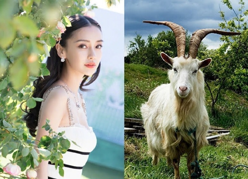 Top 3 con giáp được Thần Phật che chở, tháng 7 thăng quan tiến chức, tháng 8 giàu nứt đố đổ vách 2 Top 3 con giáp được Thần Phật che chở, tháng 7 thăng quan tiến chức, tháng 8 giàu nứt đố đổ vách